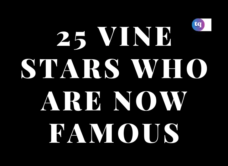 25 vine stars who are now famous