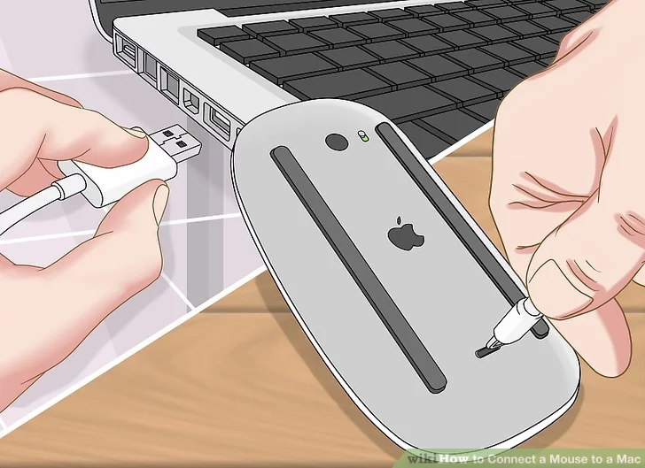 How to Connect Mouse to a Mac 2022