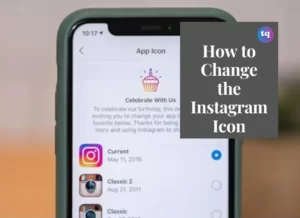 change the instagram icon