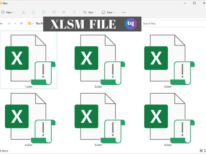 what-is-an-xlsm-file-and-what-are-its-benefits-techqlik