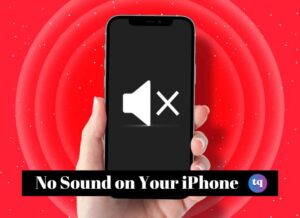 no sound on iphone