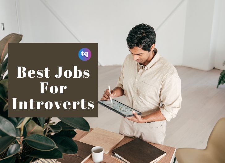 10 Best Jobs For Introverts TechQlik   Best Jobs For Introverts 