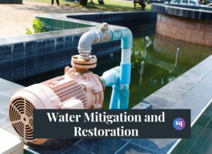 Water Mitigation and Restoration