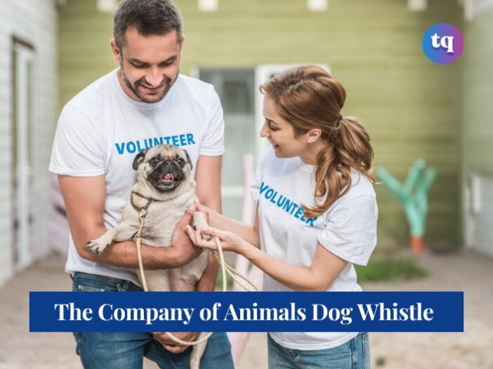 company of animals dog whistle