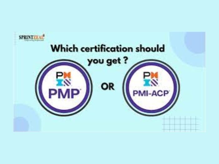 difference between PMP and PMI