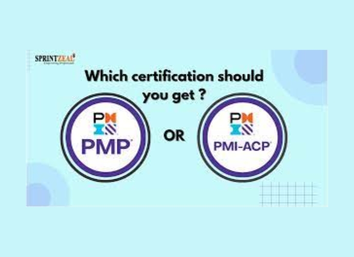 what-s-the-difference-between-pmp-and-pmi-techqlik