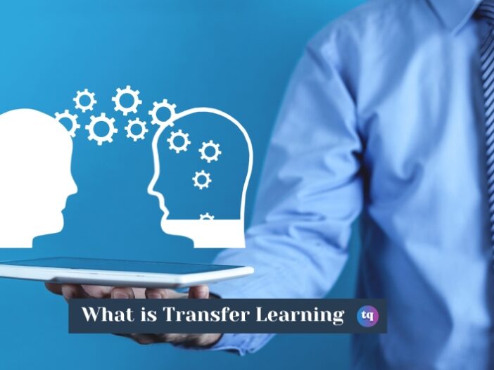 transfer learning