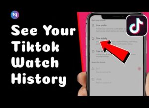 tiktok watch history