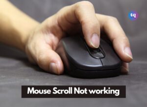 mouse scroll not working