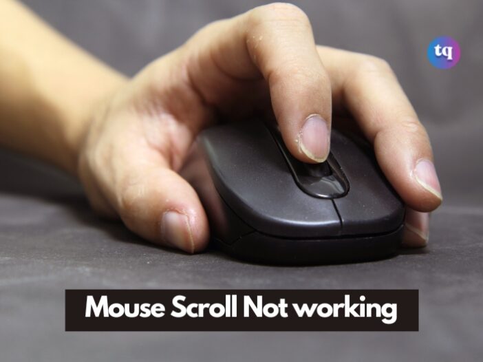 mouse scroll not working