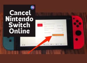 how to cancel nintendo online