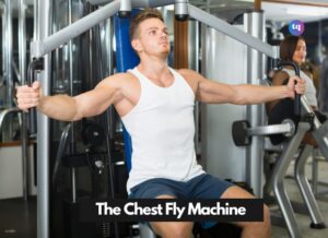 machine chest fly